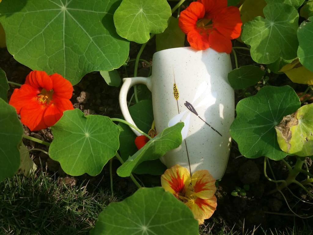 Mingtang Garden Cottage 名堂花园度假屋 Pokhara Bagian luar foto