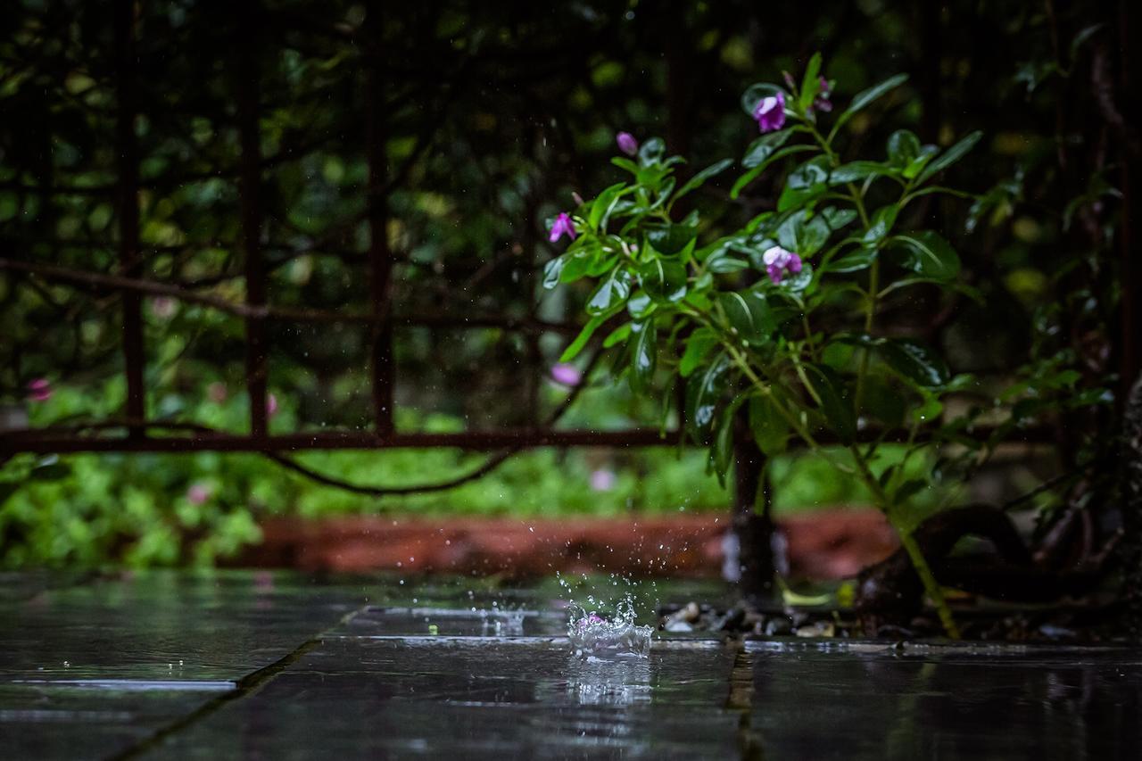 Mingtang Garden Cottage 名堂花园度假屋 Pokhara Bagian luar foto